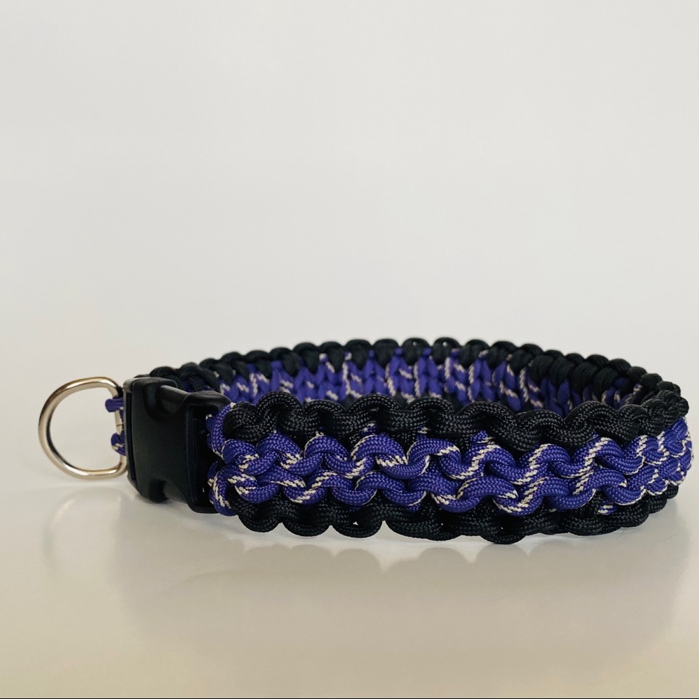 Custom dog collars